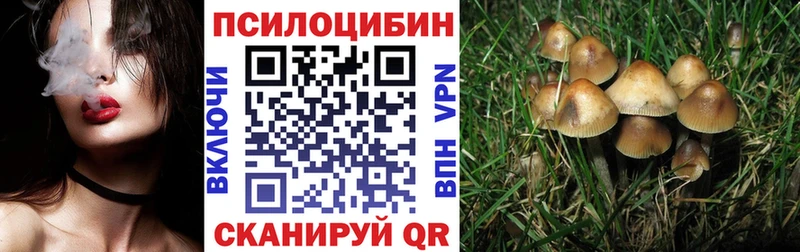Псилоцибиновые грибы Psilocybine cubensis  Купить где  Трубчевск 